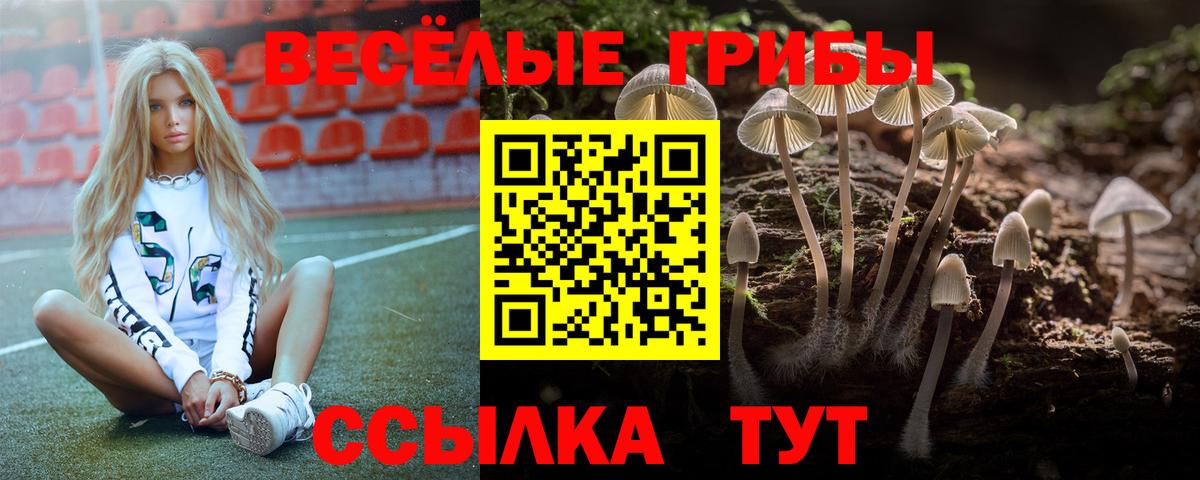 Галлюциногенные грибы Cubensis Нарткала