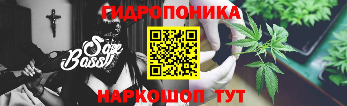 МАРИХУАНА семена  Канабис планчик  Вход с VPN  Каннабис Amnesia  Каннабис OG Kush  Нарткала 